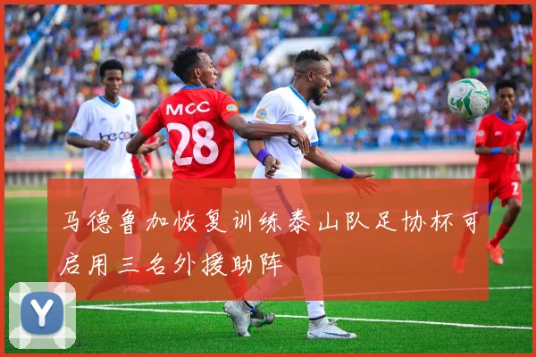 马德鲁加恢复训练泰山队足协杯可启用三名外援助阵